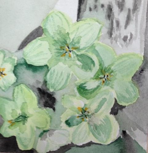 Titel: 2017 - 1Format: 12cm x 12cmTechnik: Aquarell