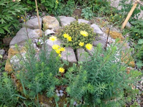 Bild 4 (1) (1)