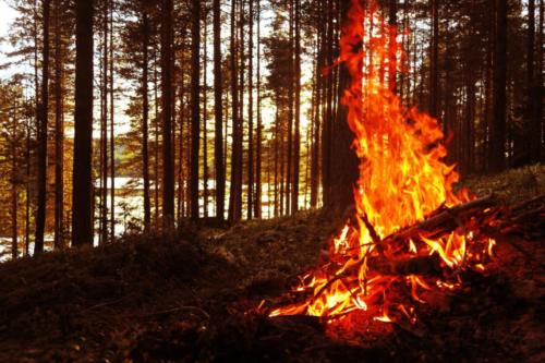 Das Lebensfeuer brennt.